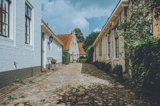 Photo des plantes en pot dans une ruelle vide photo