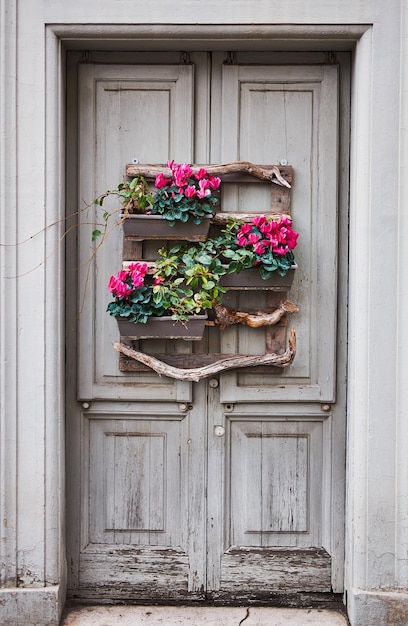 Photo plantes en pot sur la fenêtre du bâtiment