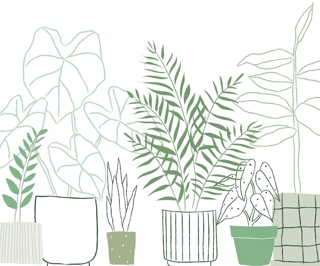 Plantes en pot d'intérieur à fond png