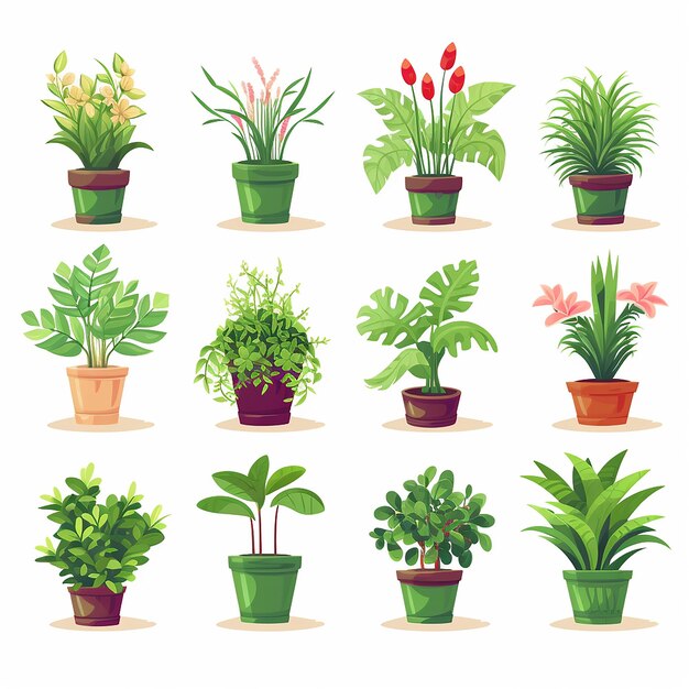 Plantes en pot de jardin paysager d'intérieur et d'extérieur isolées sur des plantes vertes blanches en pot
