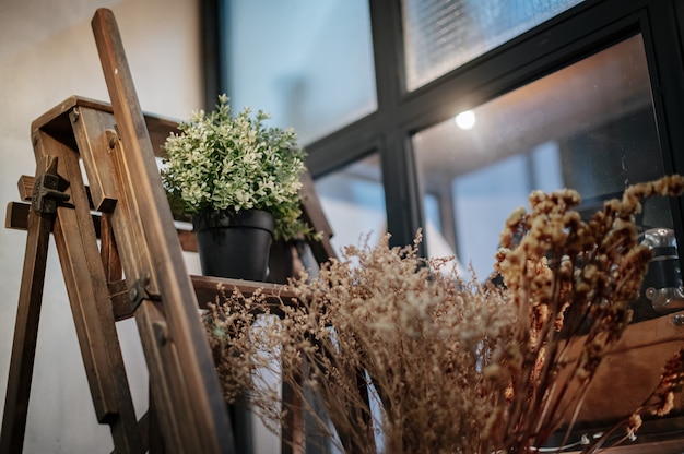 Plantes en pot qui décorent les escaliers