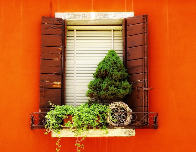 Photo plantes en pot sur le seuil de la fenêtre