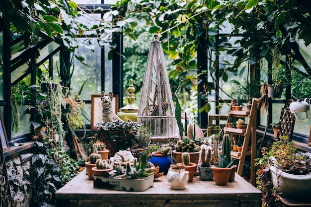 Plantes en pot sur la table au magasin à vendre