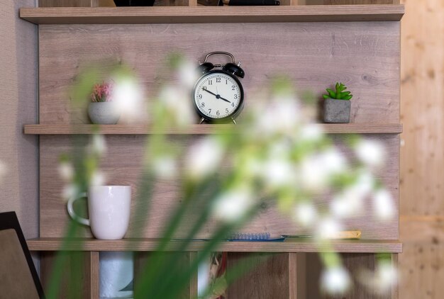 Photo plantes en pot sur la table contre le mur