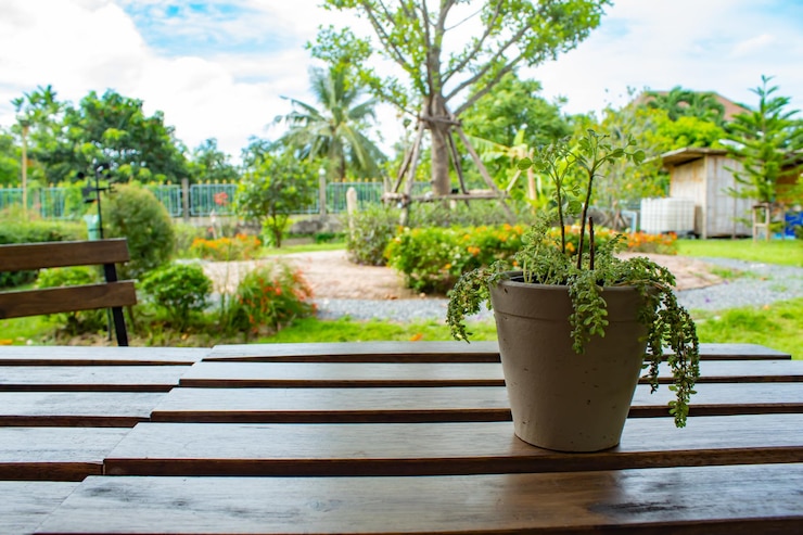 Photo plantes en pot sur la table par le sentier contre le ciel