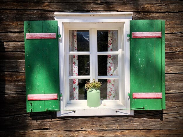 Photo plantes en pot sur une table près de la fenêtre d'un bâtiment