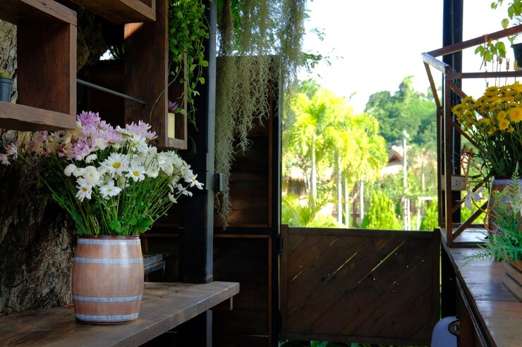 Photo des plantes en pot sur la table près de la fenêtre