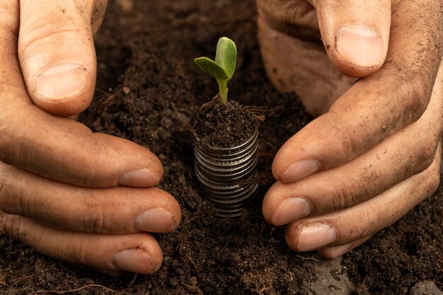 Photo des plantes pour de l'argent le concept de croissance de l'argent un agriculteur touche le sol dans un champ avec ses mains les mains d'un agriculteur tiennent le sol organique et les plantes avec de l'argent