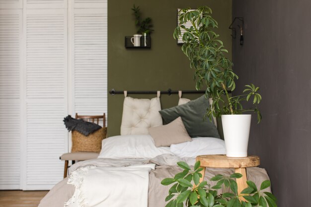 Les plantes poussent dans des pots sur une chambre à coucher en bois