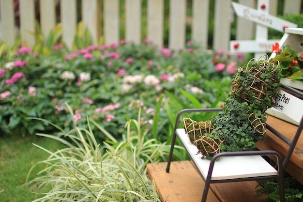 Plantes qui poussent dans le jardin