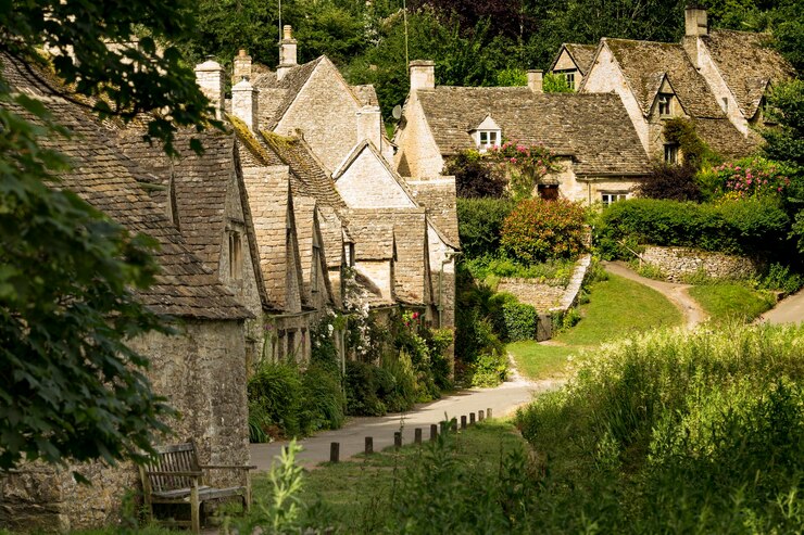 Photo plantes qui poussent à l'extérieur du village