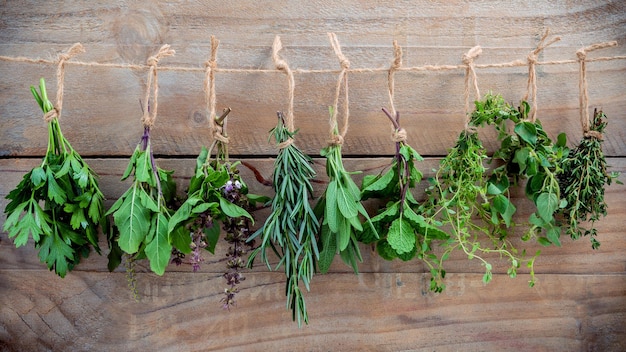 Plantes qui poussent à l'extérieur