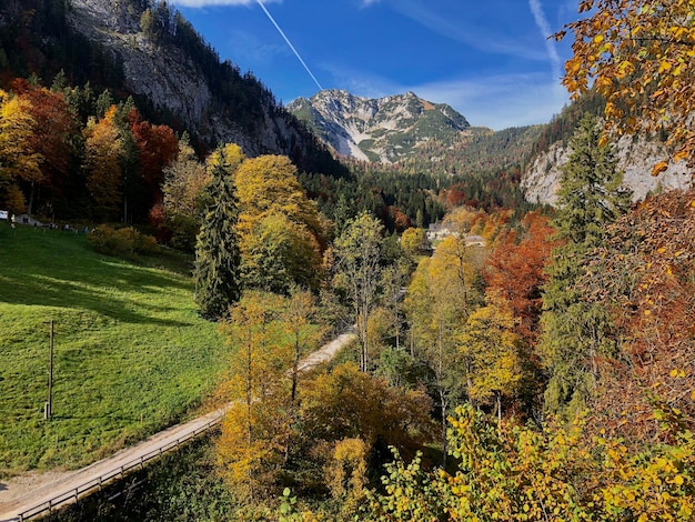 Plantes qui poussent sur la terre contre le ciel en automne