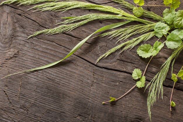 Plantes sauvages sur le vieux fond en bois foncé