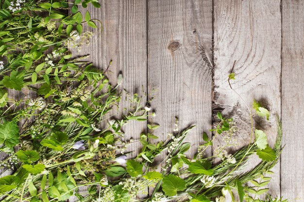 Plantes sauvages sur vieux fond en bois foncé