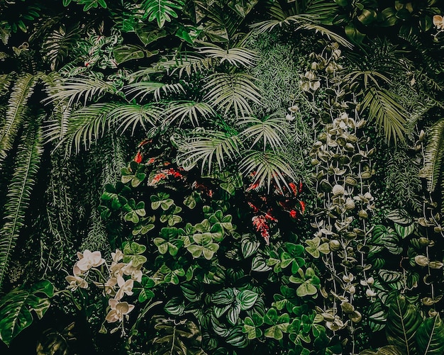Des plantes tropicales artificielles décorent les murs.