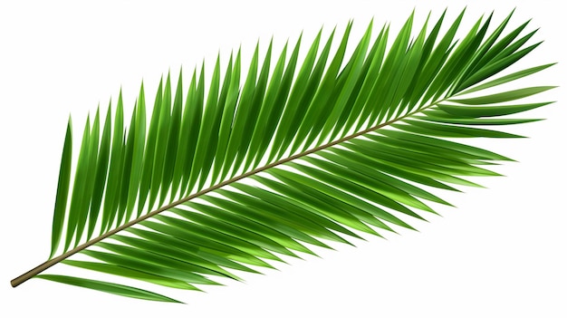 Des plantes tropicales décoratives à feuilles vertes conçues par l'IA