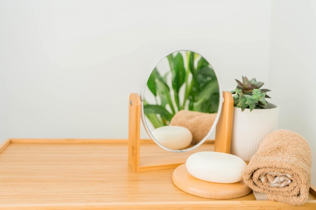 Plantes vertes dans la salle de bain. Vie écologique. Zero gaspillage