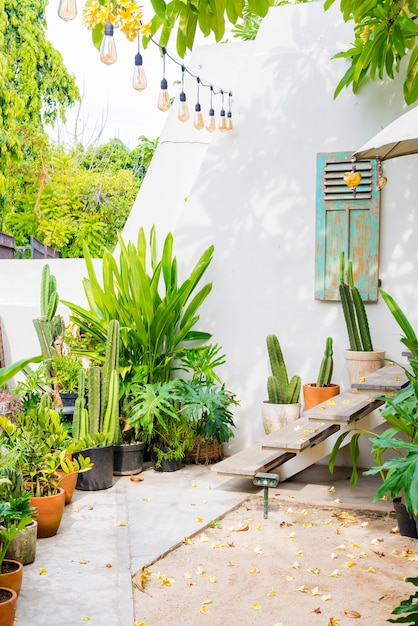 Plantes vertes à l'extérieur avec mur blanc