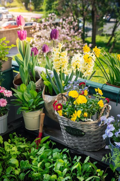 Plantes vertes et fleurs sur le balcon Jardin urbain