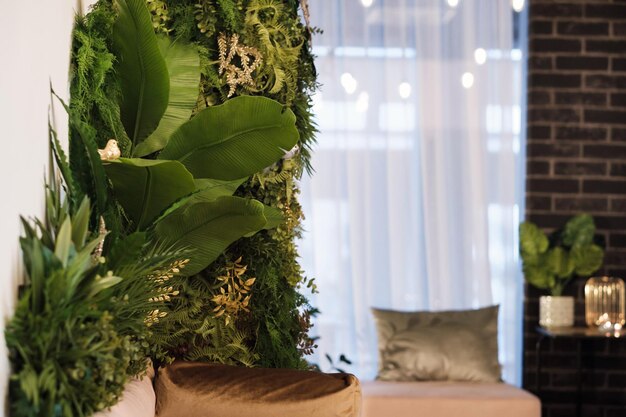 Plantes vertes sur le mur à l'intérieur de la pièce. Jardin vert vertical dans la chambre.