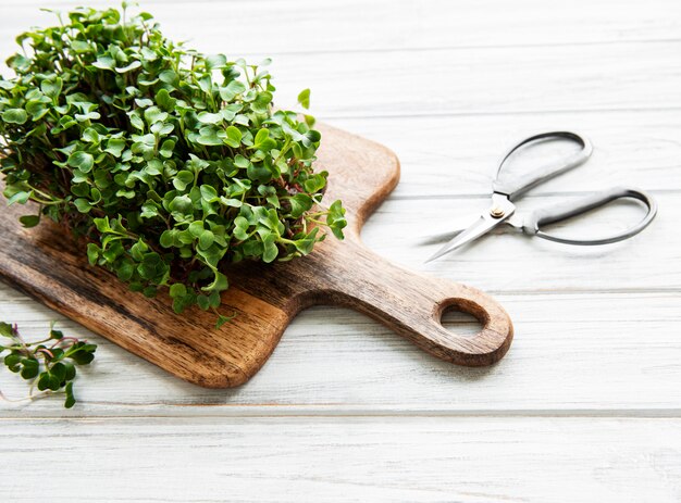 Plantes vertes sur une planche de bois avec des ciseaux