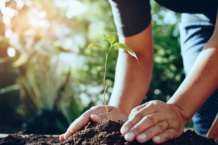 Photo planteur main planter un arbre dans gardren pour sauver le monde