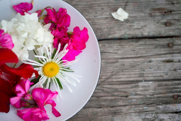 Photo sur une plaque blanche de belles fleurs multicolores sur un fond en bois