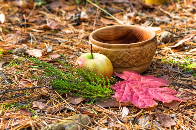 Une plaque de bois avec des feuilles de bruyère, de pomme et de rouge