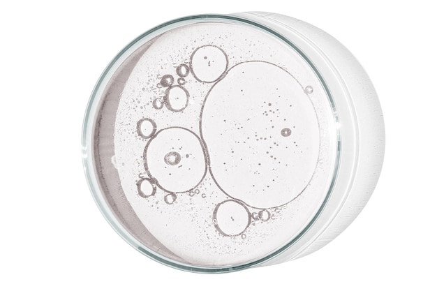 La plaque de Petri isolée sur un fond vide tache les bactéries et les molécules dans une plaque de Petrie.