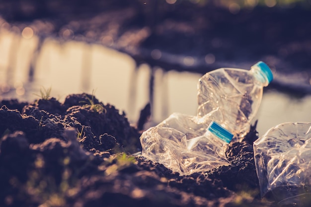 Plastique et déchets au parc naturel. Sensibilisation à l'environnement et au plastique. Concept de la Journée mondiale de l'environnement. Sauver la terre sauver la vie.