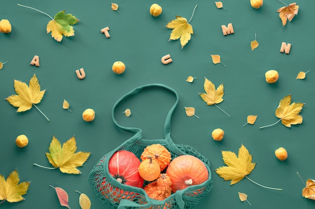 Plat à l'automne sur papier vert foncé avec des citrouilles orange dans un sac en filet et des feuilles d'automne