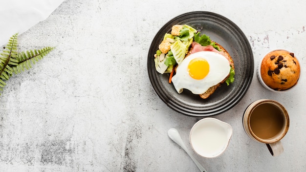 Plat du petit-déjeuner avec lait et café