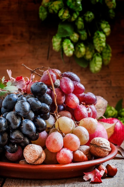 Plat avec fruits d'automne et noix Still Life selective focus