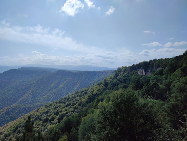 plate-forme d'observation du paysage montagne forêt arbres ciel