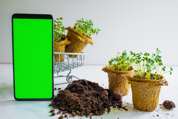 Plate-forme publicitaire pour la vente de semis Concept d'agriculture de loisir et de loisirs