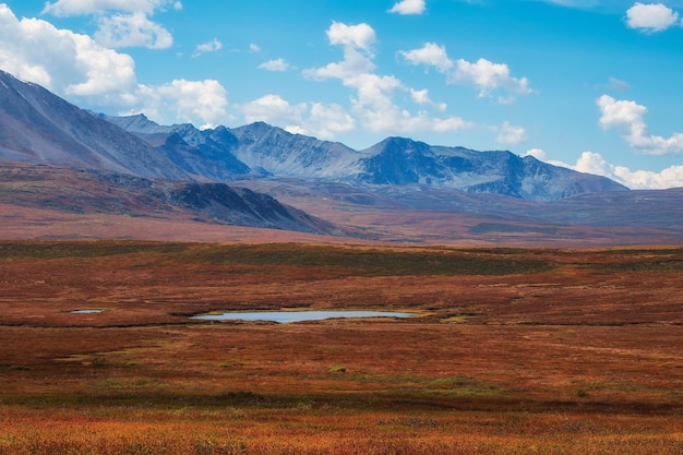 Plateau d'automne Lumière et ombre dorées spectaculaires sur le rocher dans la steppe d'automne Plateau de haute altitude