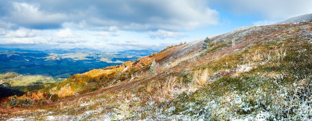 Plateau de Borghava des Carpates d'octobre avec la première neige d'hiver et les buissons de myrtilles colorés d'automne