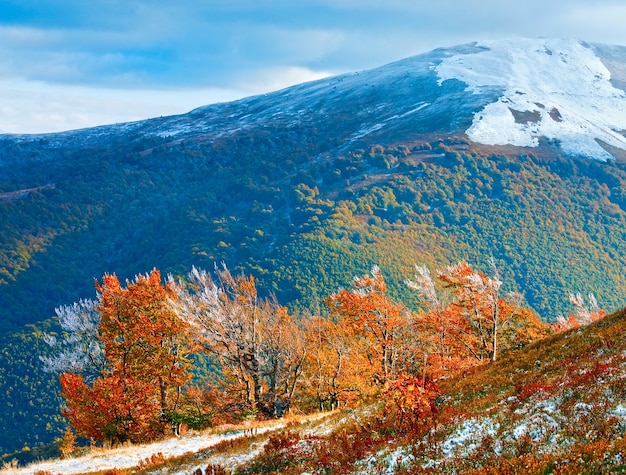 Plateau de Borghava de montagne des Carpates d'octobre avec la première neige d'hiver et le feuillage coloré d'automne