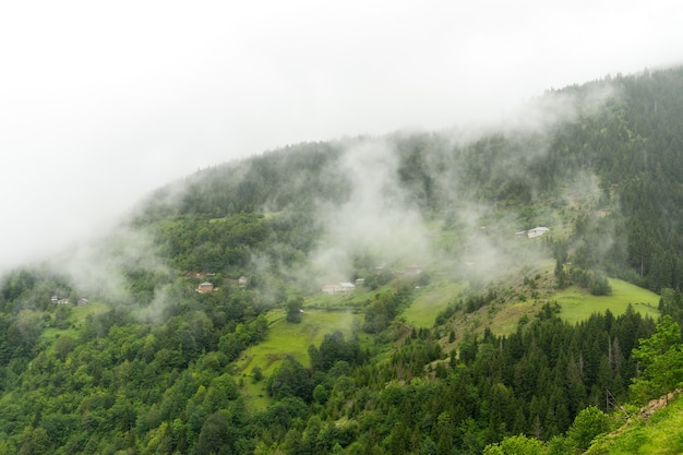 Plateau brumeux Highland avec Giresun - Turquie