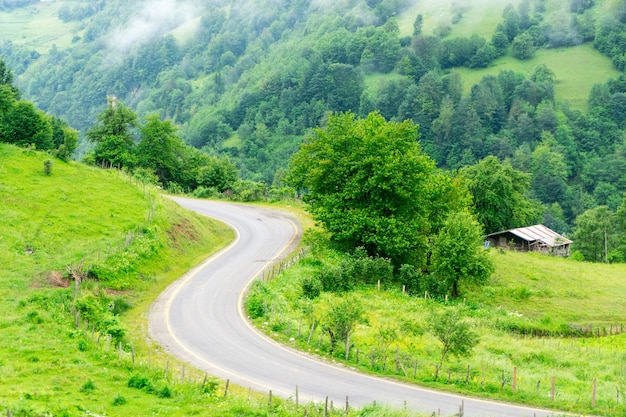 Plateau brumeux Highland avec Giresun - Turquie