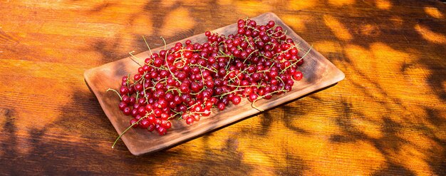 Photo un plateau de groseilles rouges avec les feuilles sur la tige groseille rouge mûre sur une assiette