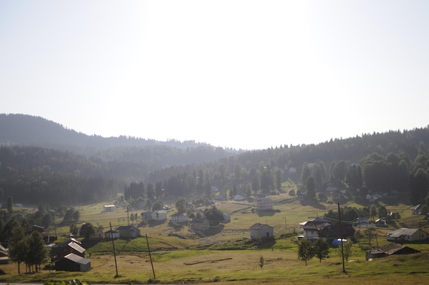 Plateau Hidirnebi situé dans la ville d'Akcaabat, 1450 - 1500 m à sa hauteur.