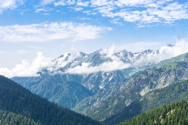 Plateau de montagne d'été Highland avec Artvin, Turquie