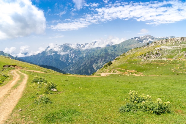 Plateau de montagne d'été Highland avec Artvin, Turquie