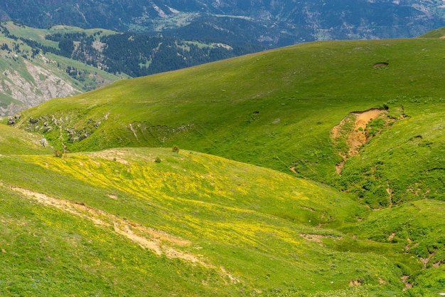 Plateau de montagne d'été Highland avec Artvin, Turquie