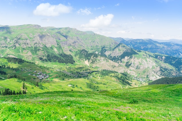 Plateau de montagne d'été Highland avec Artvin, Turquie