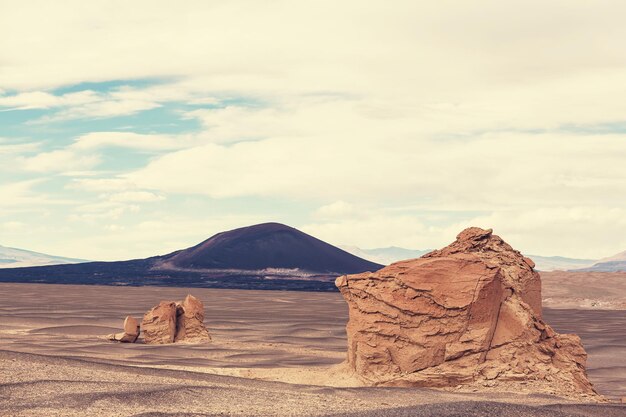 Plateau montagneux La Puna, nord de l'Argentine