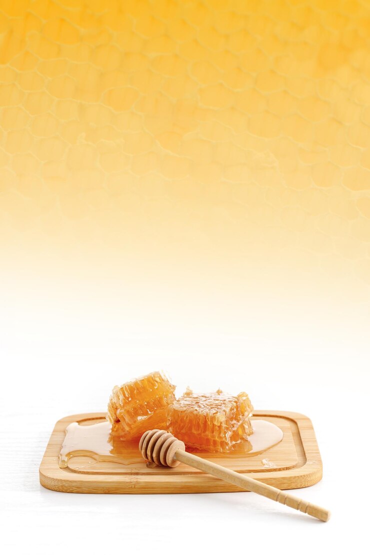 Photo un plateau avec un morceau de pain et un morceaux de fromage dessus