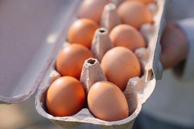 Un plateau d'œufs de poule produits de la ferme naturelle